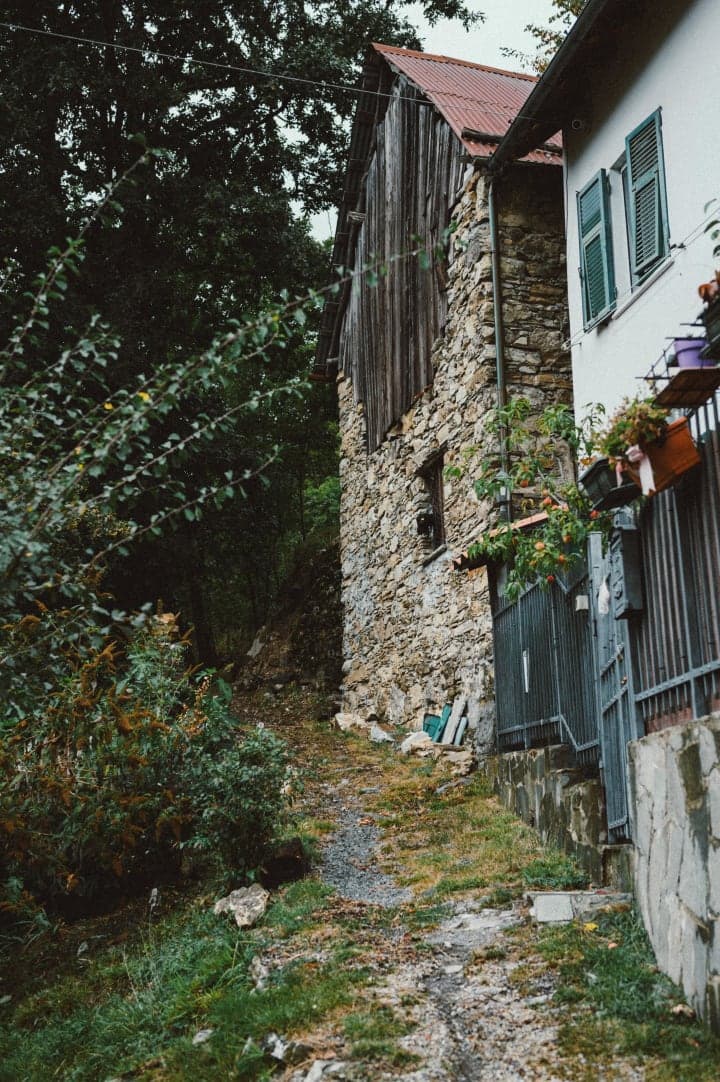 Preview of image number 13 from my Liguria project