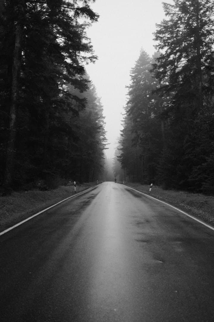 Preview of image number 17 from my Monochrome-i project