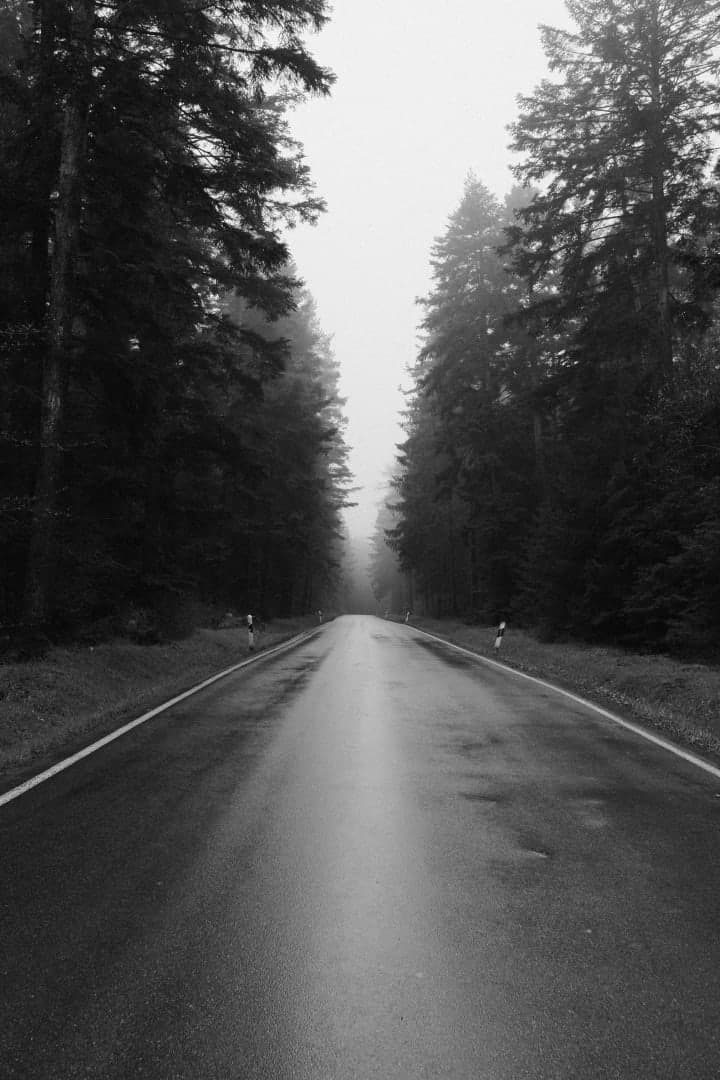 Preview of image number 16 from my Monochrome-i project
