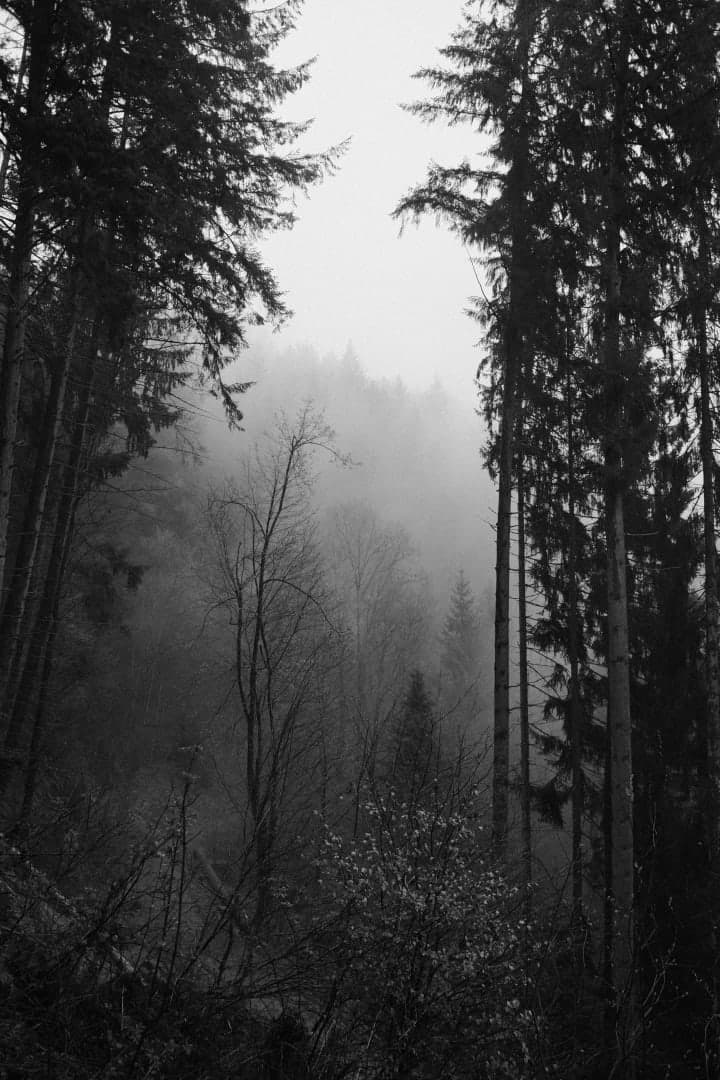 Preview of image number 13 from my Monochrome-i project