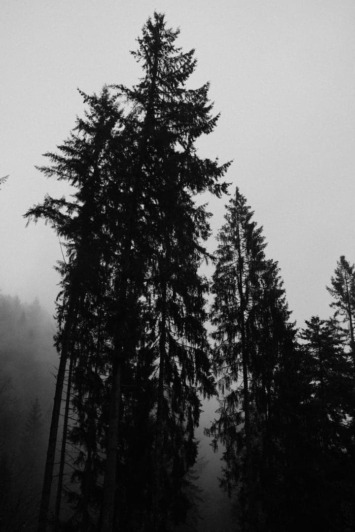 Preview of image number 12 from my Monochrome-i project