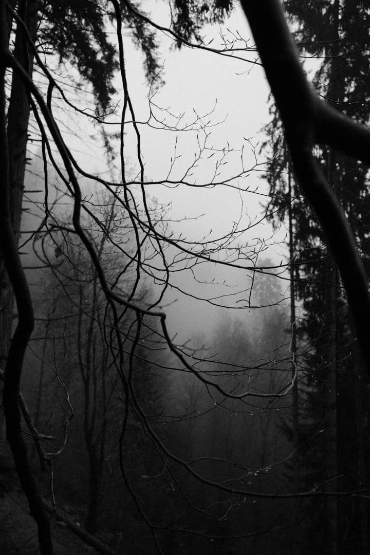 Preview of image number 11 from my Monochrome-i project