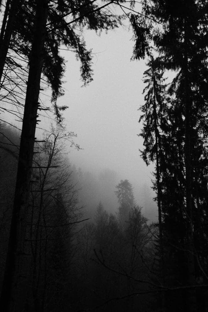 Preview of image number 10 from my Monochrome-i project