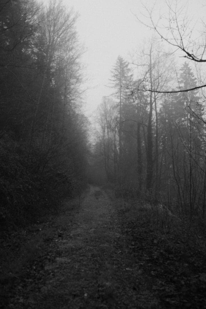 Preview of image number 9 from my Monochrome-i project