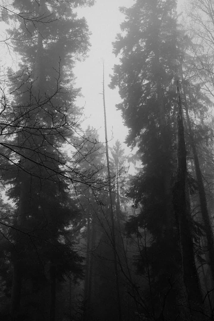 Preview of image number 8 from my Monochrome-i project