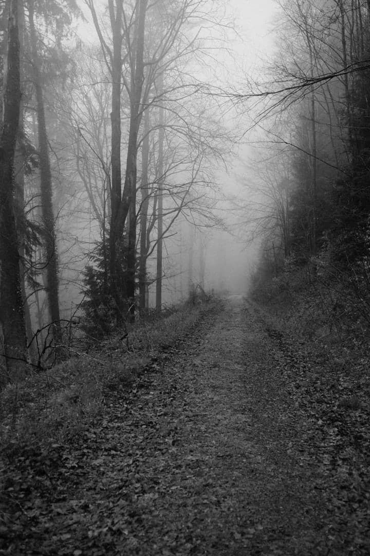 Preview of image number 7 from my Monochrome-i project