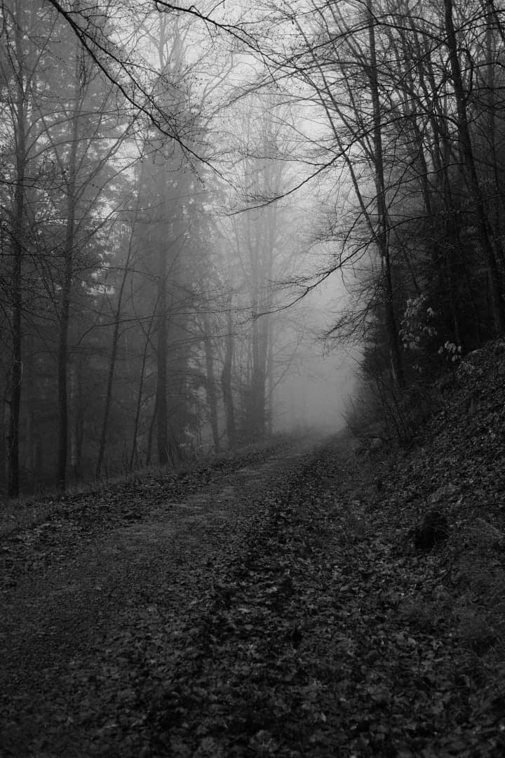 Preview of image number 6 from my Monochrome-i project