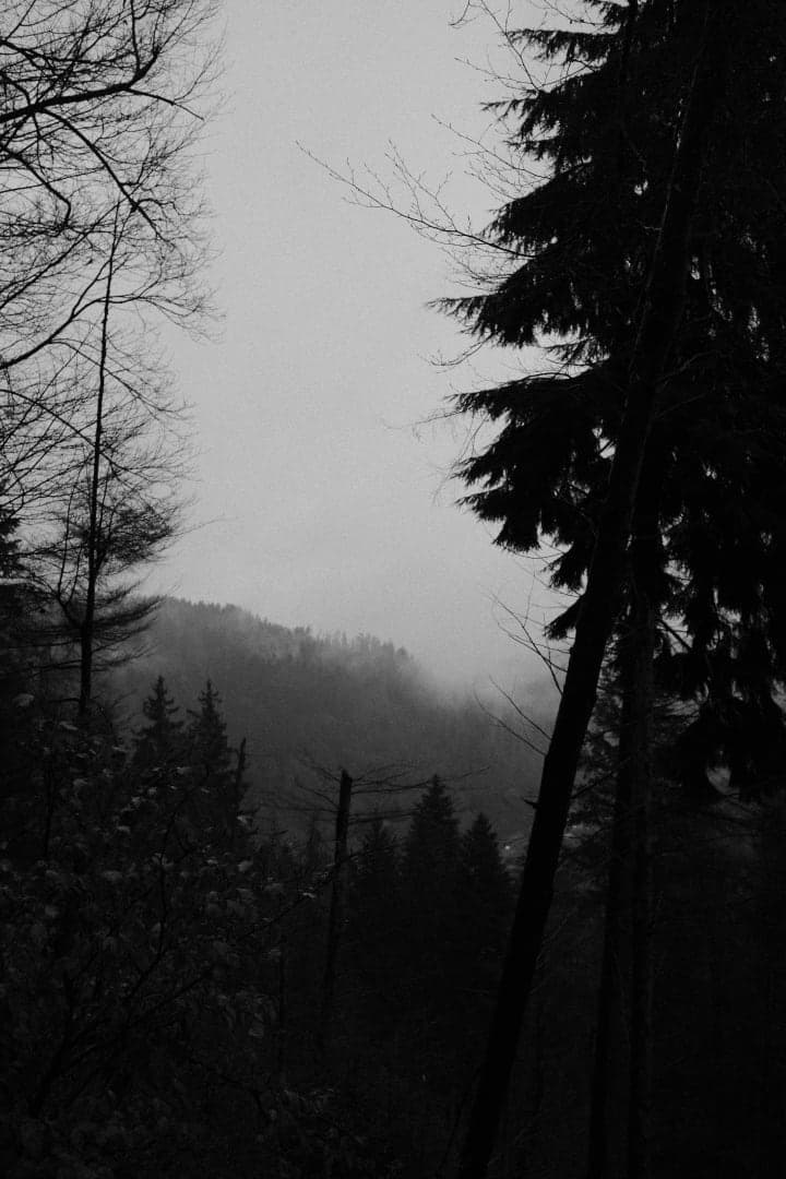 Preview of image number 5 from my Monochrome-i project