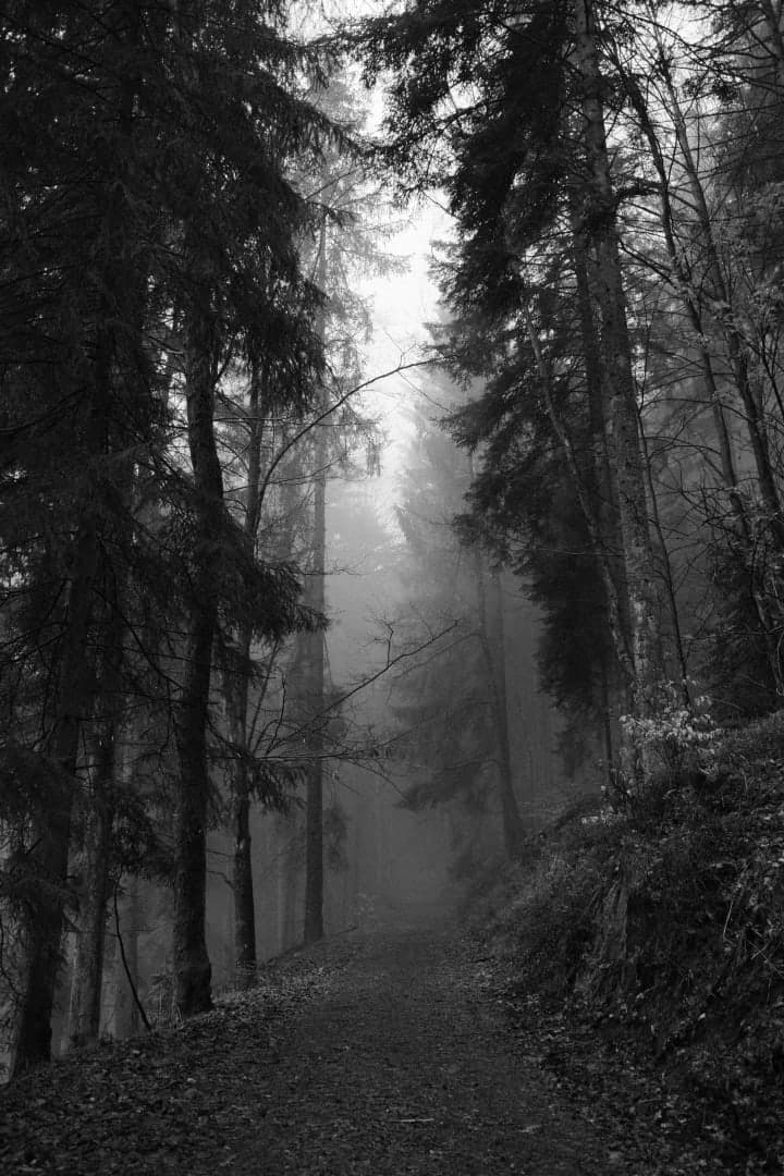 Preview of image number 4 from my Monochrome-i project