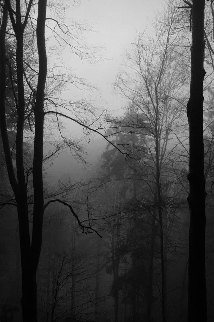 Preview of image number 3 from my Monochrome-i project