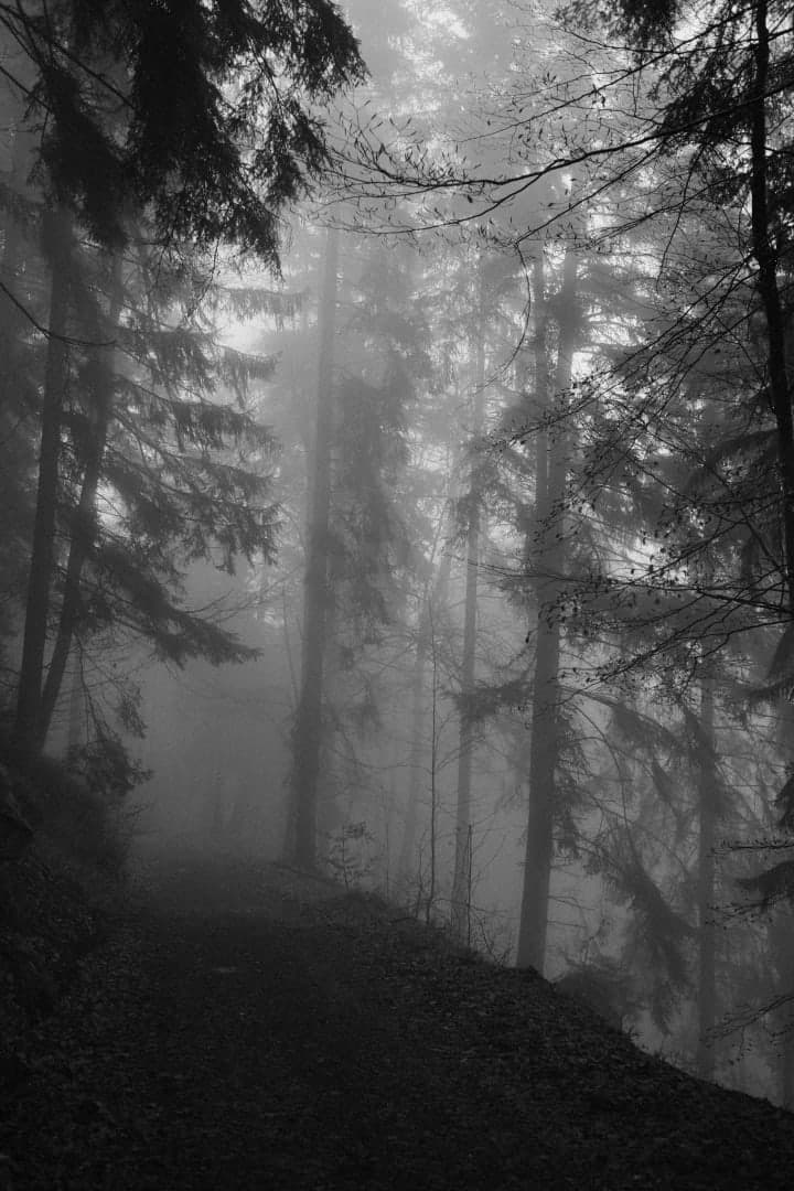 Preview of image number 2 from my Monochrome-i project