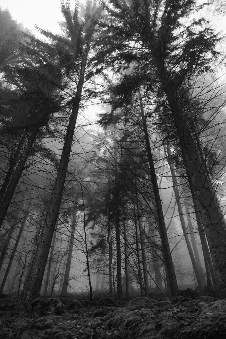 Preview of image number 1 from my Monochrome-i project