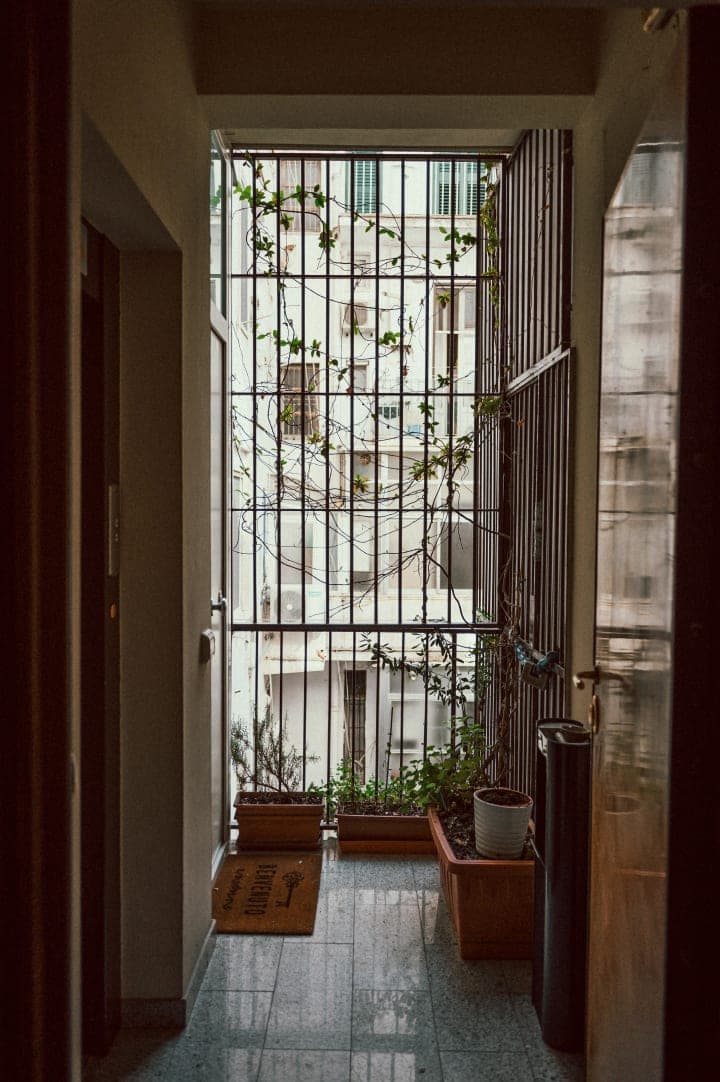 Preview of image number 3 from my Puglia project