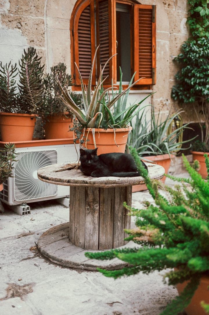Preview of image number 12 from my Puglia project