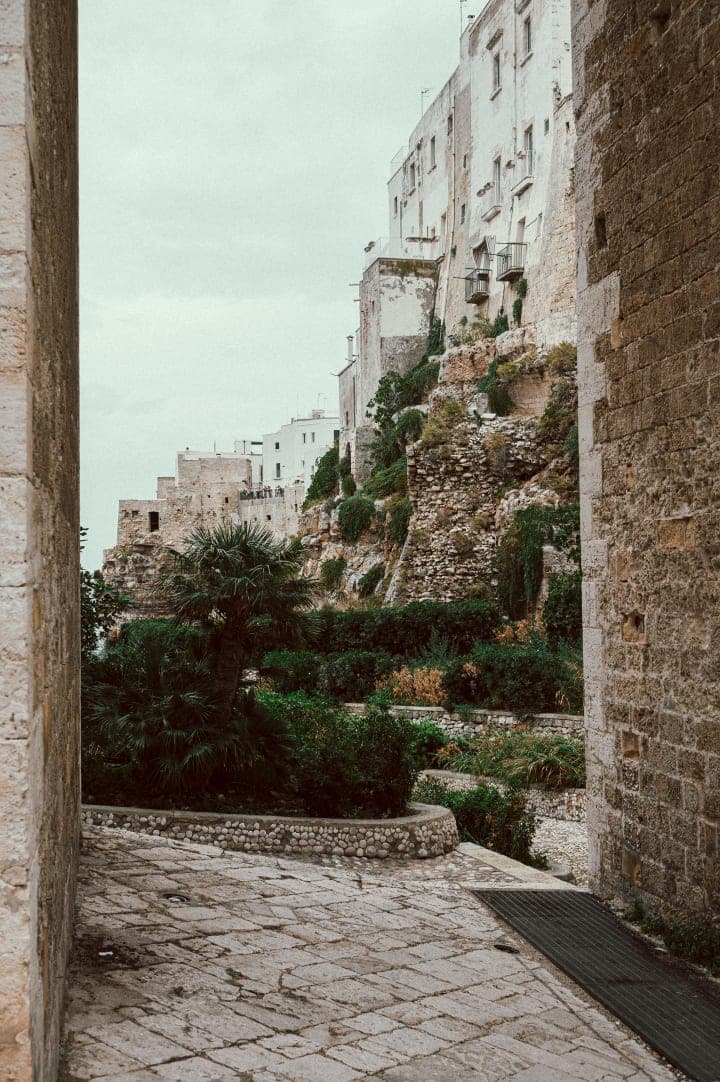 Preview of image number 25 from my Puglia project