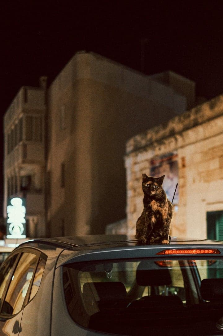 Preview of image number 36 from my Puglia project